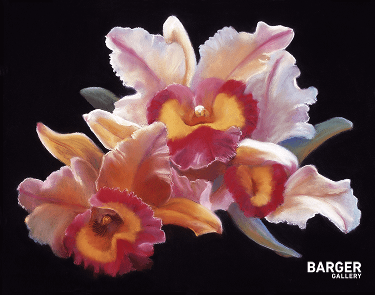 Cattleya Orchids - Vicki Penney-Rohner