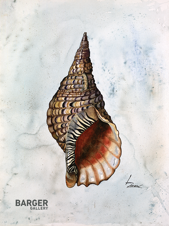 Triton Shell by Donna Crow