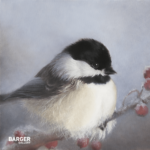 L’Ami de L’hiver